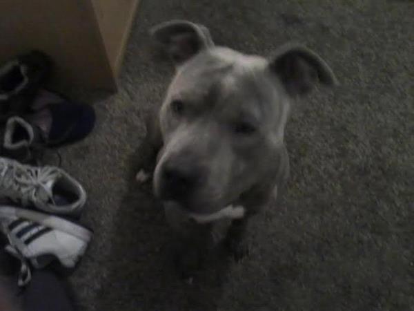 /Images/uploads/Humane Society of Utah/HSUCalendar/entries/631thumb.jpg
